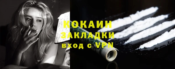 дживик Алексин